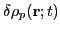 $\delta\rho_p(\vec{r};t)$