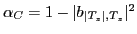 $ \alpha_C = 1- \vert b_{\vert T_z\vert,T_z}\vert^2$
