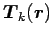 $ {\mbox{\boldmath${T}$\unboldmath }}_k (\mbox{\boldmath${r}$\unboldmath })$
