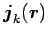 $ {\mbox{\boldmath${j}$\unboldmath }}_k (\mbox{\boldmath${r}$\unboldmath })$