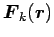 $ {\mbox{\boldmath${F}$\unboldmath }}_{k} (\mbox{\boldmath${r}$\unboldmath })$