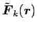 $ {\tilde{\mbox{\boldmath${F}$\unboldmath }}}_{k} (\mbox{\boldmath${r}$\unboldmath })$