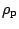 $\rho_{\rm p}$