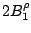 ${ }2B_1^{\rho}$