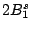 ${ }2B_1^{s}$