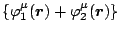 $\{
\varphi^{\mu}_1({\mbox{\boldmath$r$\unboldmath }}) +\varphi^{\mu}_2( {\mbox{\boldmath$r$\unboldmath }})\}$