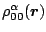 $\rho_{00}^\alpha({\mbox{\boldmath$r$\unboldmath }})$