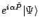 $e^{i\alpha\hat{P}}\vert\Psi\rangle$