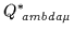 $Q_{\ ambda \mu}^*
$