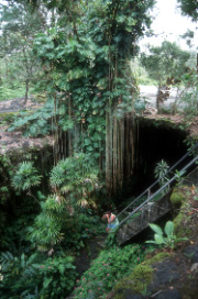Grota