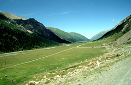 Dolina