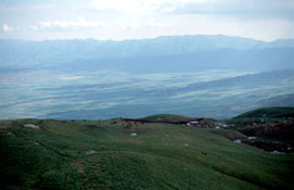 Tabun