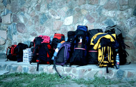 Baga�