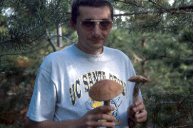 Grzybobranie