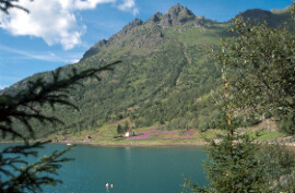Domek nad Kalbfjordem