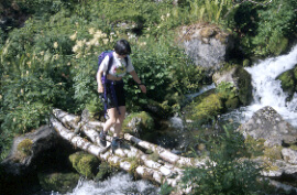 Mostek