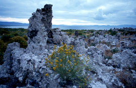 Wulkaniczne popio�y