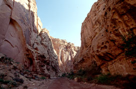 Dziurawe �ciany