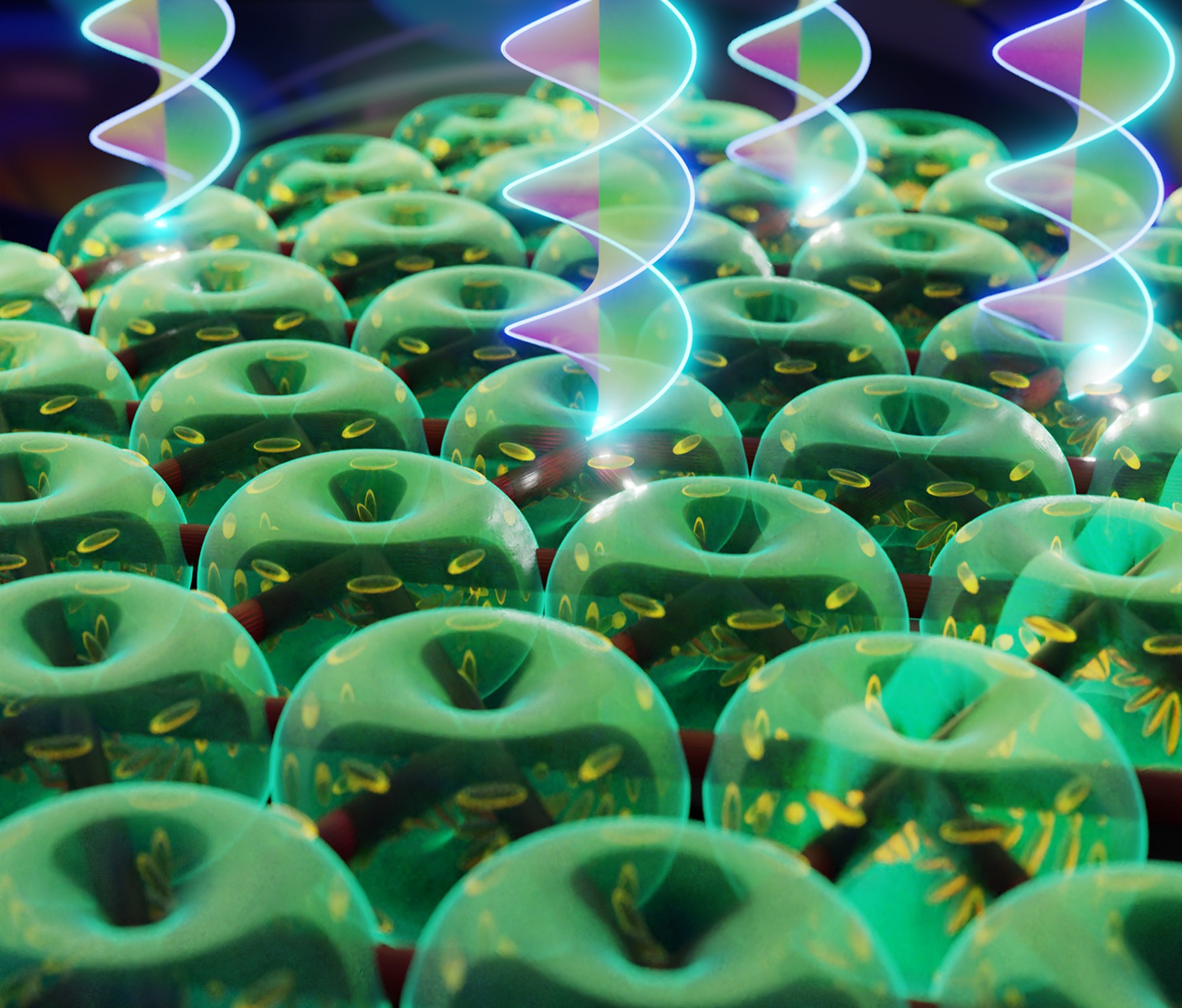 Advanced Optical Materials.